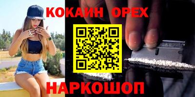 шишки Лесосибирск