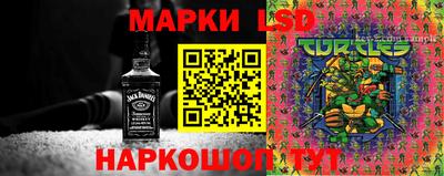шишки Лесосибирск