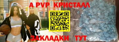 шишки Лесосибирск