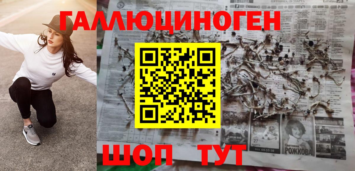 Галлюциногенные грибы Psilocybe Гудермес