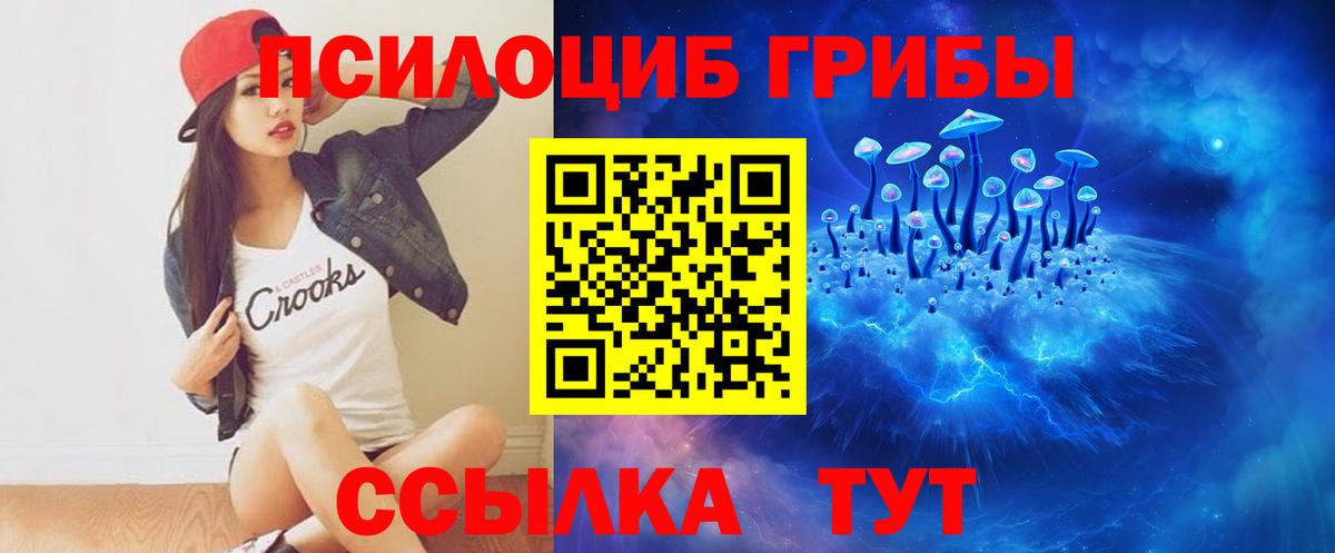 дарнет шоп  Псилоцибиновые грибы GOLDEN TEACHER  Гудермес  Вход с VPN  Галлюциногенные грибы Cubensis 