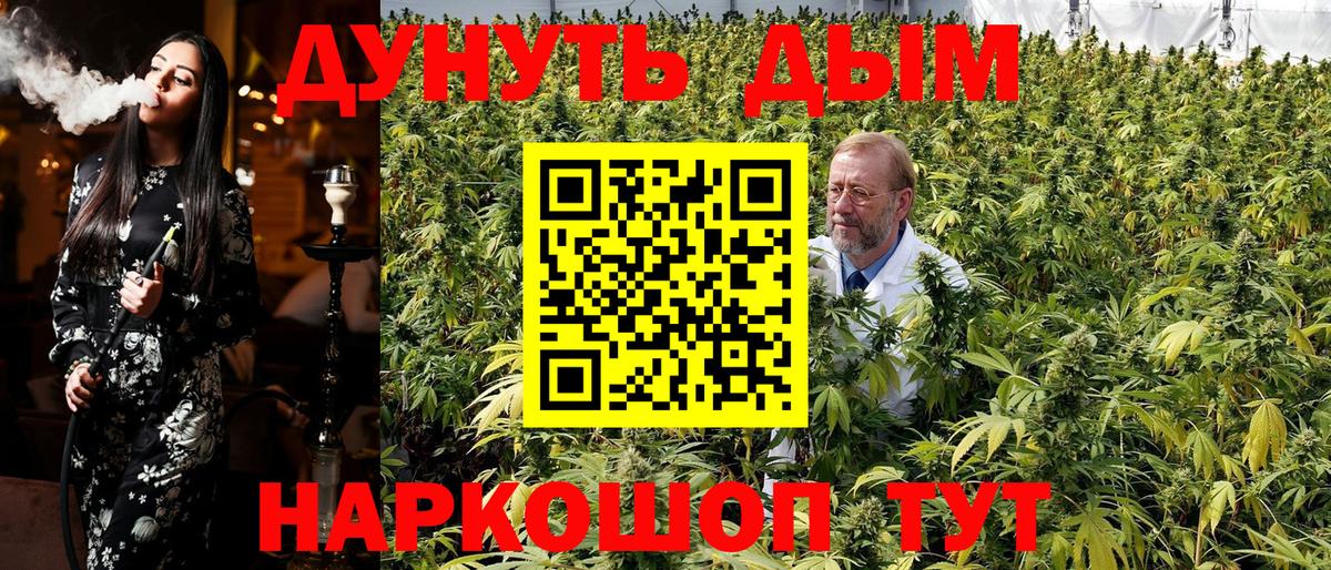 Каннабис план Гудермес